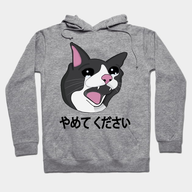 Yamete Kudasai Meme Crying Cat Yamero Japanese Words - Cat Memes ...